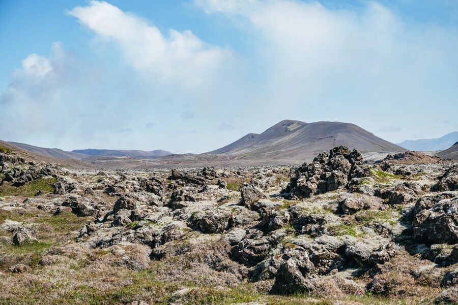 Reykjavik: Guided Tour to Volcano and Reykjanes Geopark - Grindavík Fishing Village: Tectonic Rifts, Lava Barriers, and the Human Side of a Volcanic Event