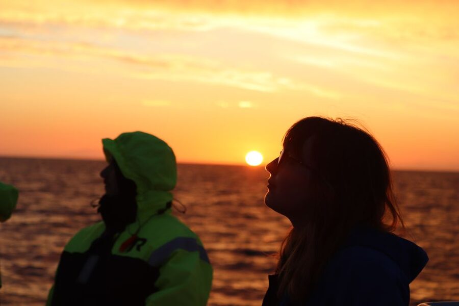 Reykjavík: Midnight Sun Whale Watching Cruise - FAQ