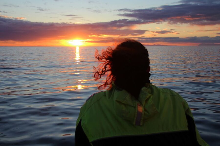 Reykjavík: Midnight Sun Whale Watching Cruise - Price and value: what $106 buys you, and where you can save