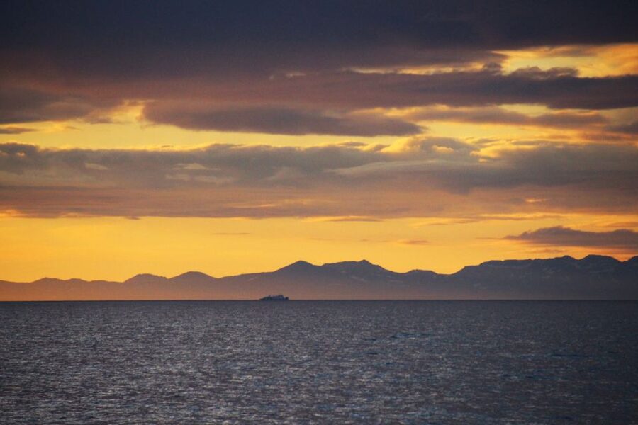 Reykjavík: Midnight Sun Whale Watching Cruise - Final call: should you book the Reykjavík midnight sun whale cruise?