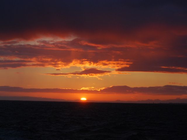 Reykjavik: Midnight Sun Whale Watching Tour - How the search works without stressing the animals