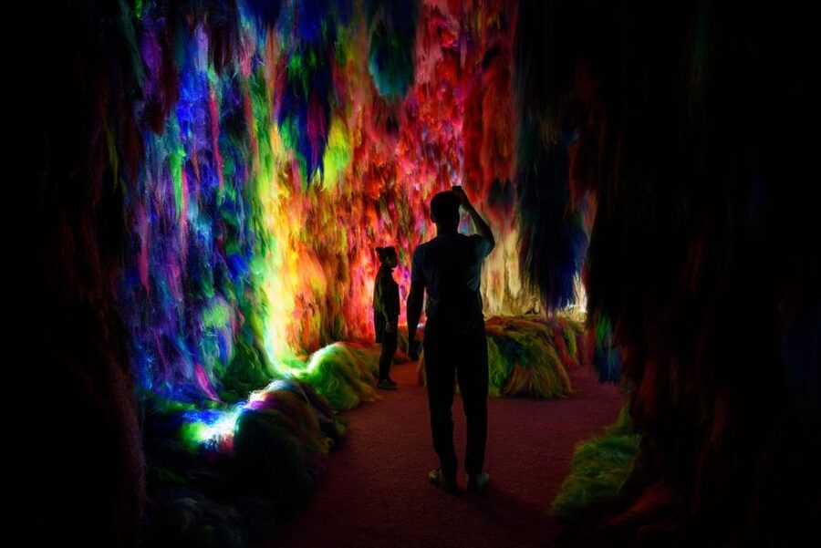 Reykjavík: Multi-Sensory Art Installation Chromo Sapiens - Should you book Chromo Sapiens?