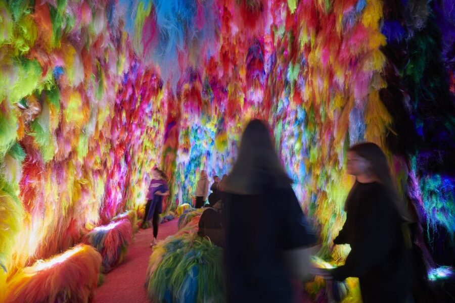 Reykjavík: Multi-Sensory Art Installation Chromo Sapiens - How long it really takes, and how to pace yourself