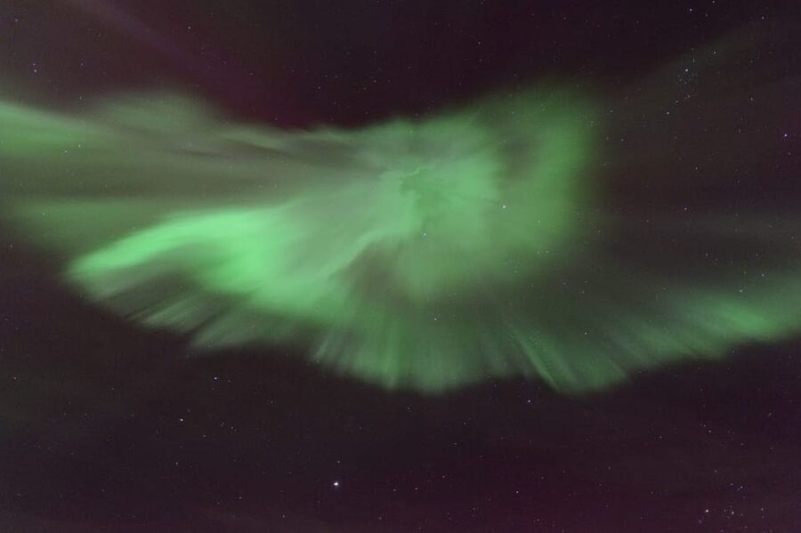 Reykjavík: New Year's Eve Northern Lights Yacht Cruise - Price and Value for a $140 Per Person Yacht Cruise