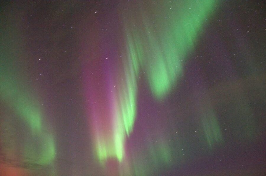 Reykjavík: New Year's Eve Northern Lights Yacht Cruise - Who Should Book, and Who Should Skip This One