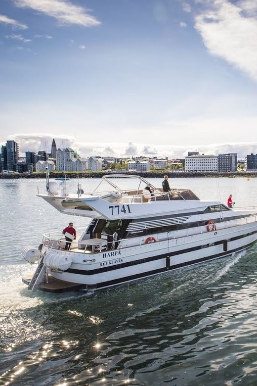 Reykjavík: New Year's Eve Northern Lights Yacht Cruise - Should You Book This Reykjavik New Year’s Eve Yacht Cruise?
