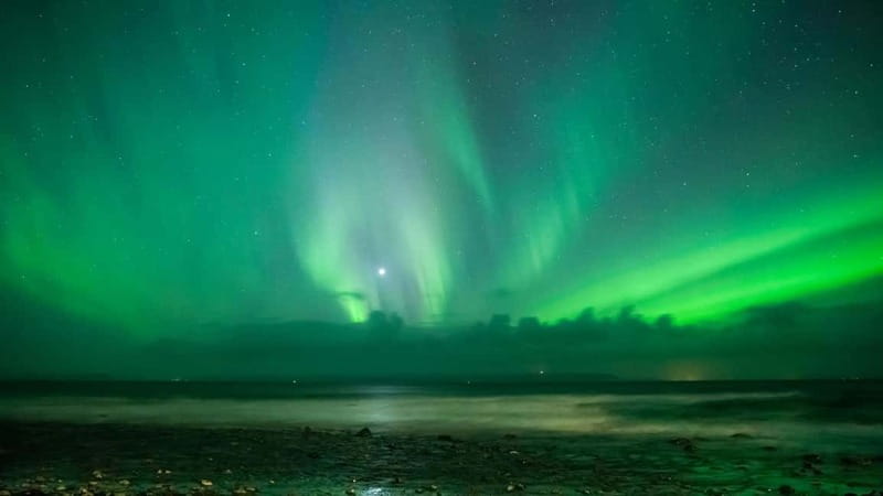 Reykjavik: Northern Lights Adventure Tour with Hot Chocolate - The 3.5-hour flow: drive out, look up, and warm up
