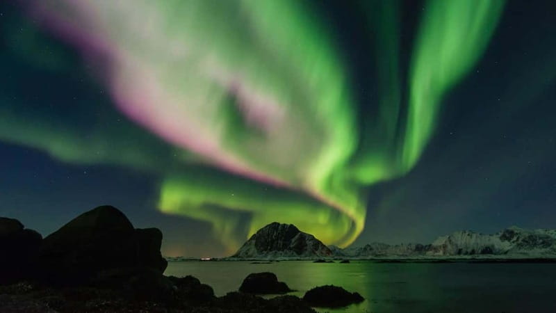 Reykjavik: Northern Lights Adventure Tour with Hot Chocolate - Northern Lights 101, without the science lecture trap