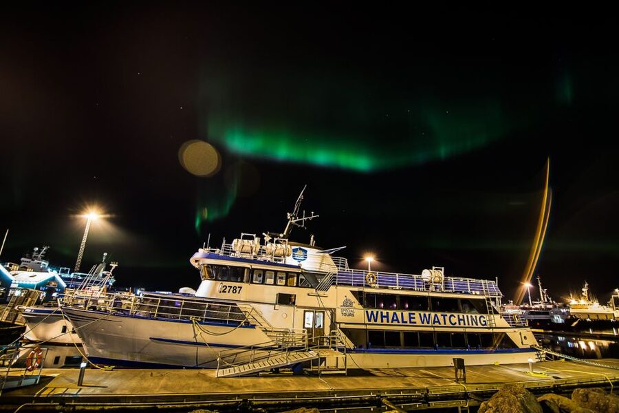 Reykjavik: Northern Lights Guided Boat Tour - How the 2.5 Hours Typically Run, from Boarding to the Dark Sky Window