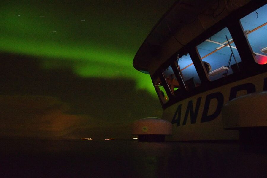 Reykjavik: Northern Lights Guided Boat Tour - Price and Value at Around $106: What You Actually Get