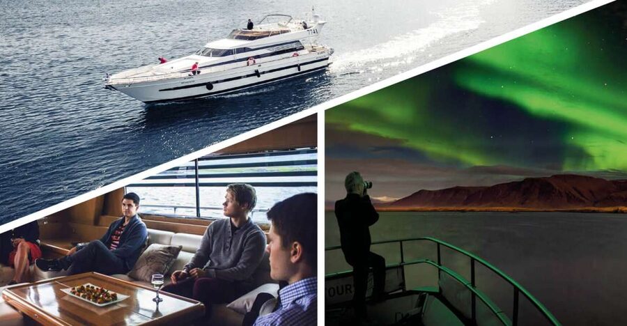 Reykjavik: Northern Lights Motor Yacht Cruise - Harpa Concert Hall and Sun Voyager: skylines you see from the water
