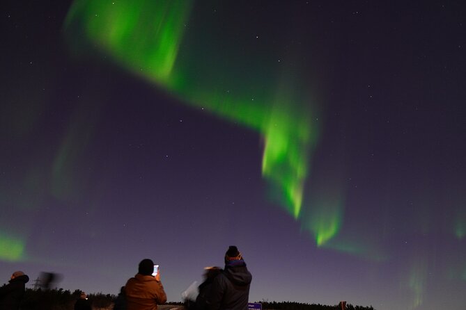 Reykjavik Northern Lights Tour with Pro Aurora Photos Small Group - Professional Aurora Photos: What You Get and How to Think About Them