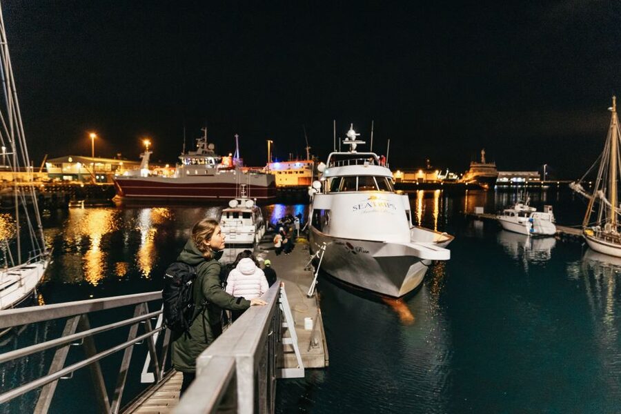 Reykjavik: Northern Lights Yacht Tour - Who this cruise fits best, and who might prefer another plan