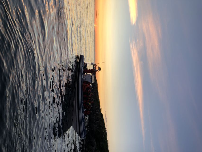 Reykjavik: Premium Whale and Puffin Watching Evening Tour - The Return Ride: City Sights with a Fresh Perspective