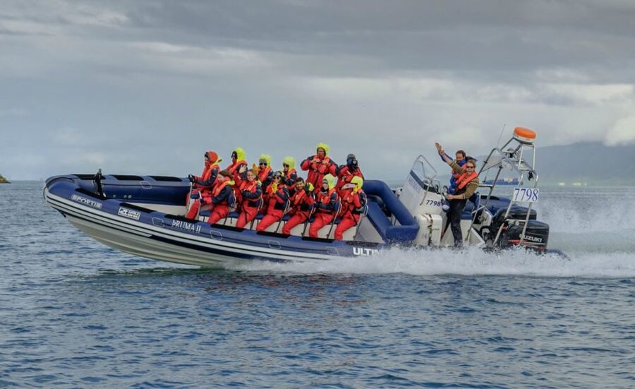 Reykjavik: Premium Whale Watching with Flexible Ticket - What the 2-Hour Tour Really Feels Like, Speed, Comfort, and Weather