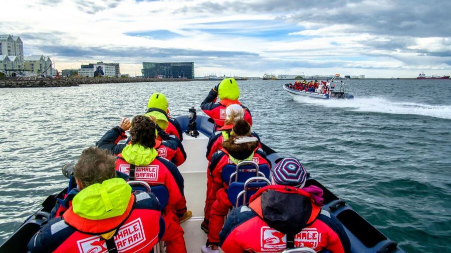 Reykjavik: Premium Whale Watching with Flexible Ticket - Who This Tour Fits, and Who Should Choose Something Else