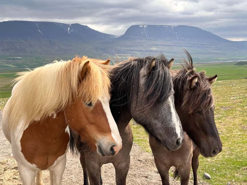 Reykjavik: PRIVATE Golden Circle tour with 5 TOP stops - Brúarfoss and Kerið Volcano: The Two Extras That Add Variety