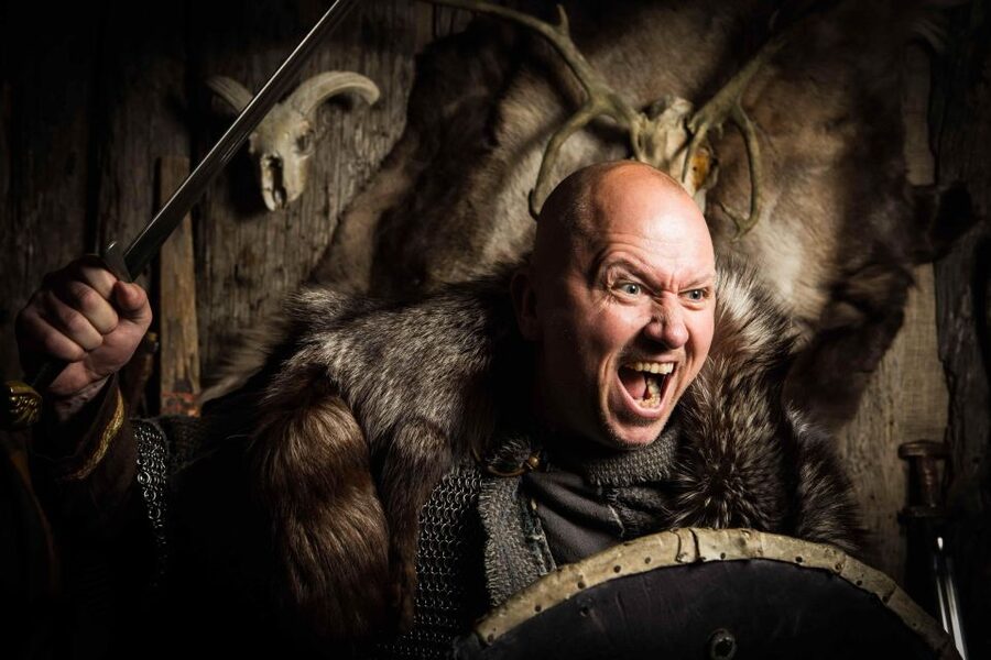 Reykjavik: Private Icelandic Viking Age Walking Tour - A 3-Hour Private Viking Walk That Turns Reykjavik Into a Storybook