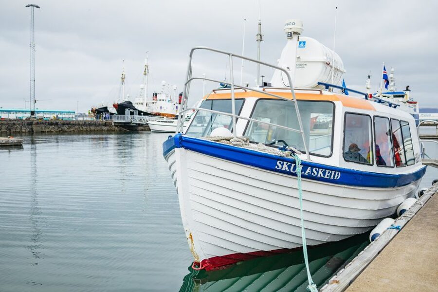 Reykjavik: Puffin Watching Boat Tour - The Guide Makes It, Especially When Wind Gets Loud