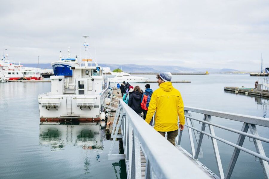 Reykjavik: Puffin Watching Boat Tour - Binoculars, Photo Reality, and How to Use the Time