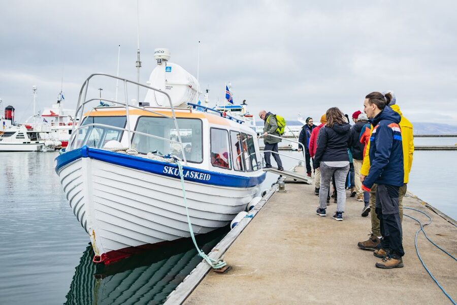 Reykjavik: Puffin Watching Boat Tour - Price and Value: Is $64 Worth It?