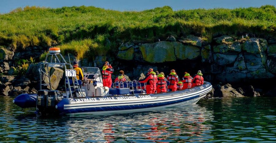 Reykjavik: Puffin Watching Tour - What You’ll See: Puffins Fishing, Flying, and Colonies on Offshore Islands