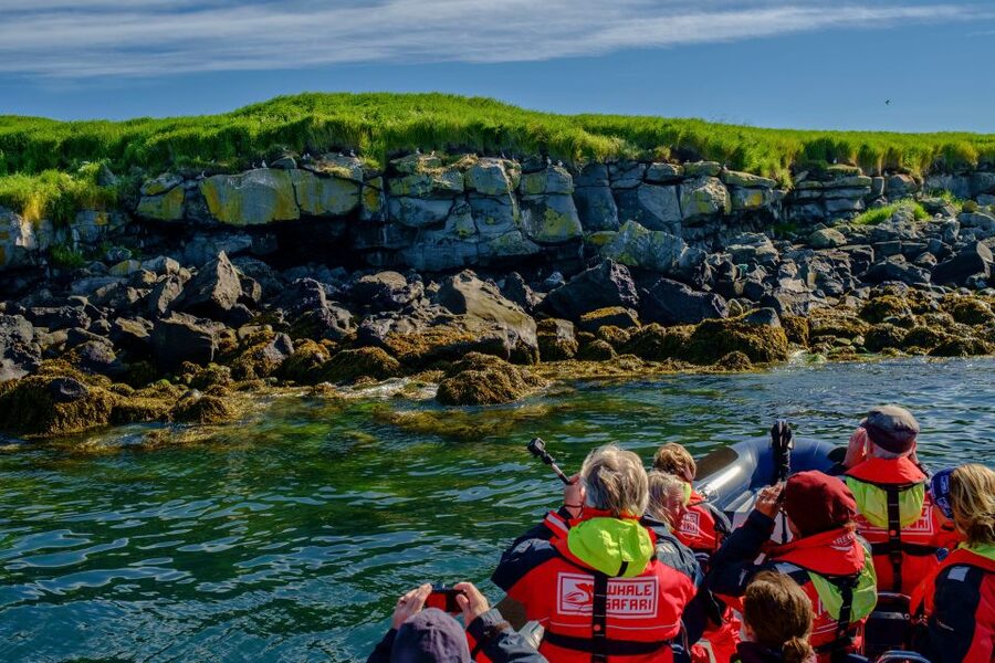 Reykjavik: Puffin Watching Tour - Photo and viewing tips for a bouncing open boat