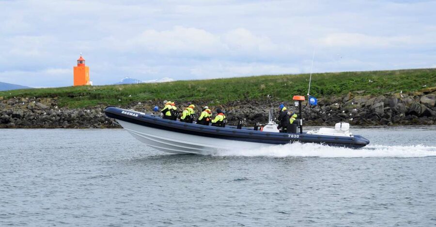 Reykjavik: Puffin Watching Tour by RIB Speedboat - Key Points Before You Go