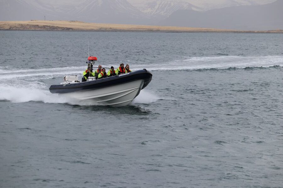 Reykjavik: Puffin Watching Tour by RIB Speedboat - What’s Included, What’s Not, and What You Should Bring