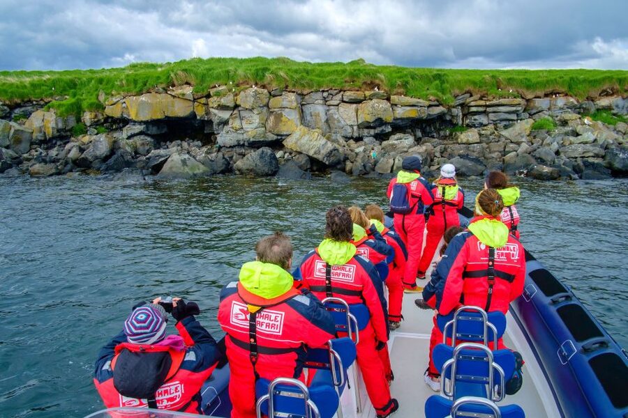 Reykjavik: Puffin Watching Tour - Old Harbour to the Puffin Islands: The 1-Hour Route You Actually Want