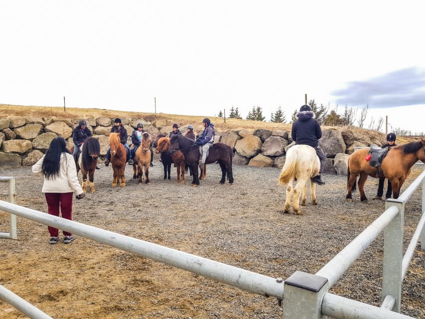 Reykjavik: Red Lava Horse Riding Tour - Price and Value: Is $142 Worth It?