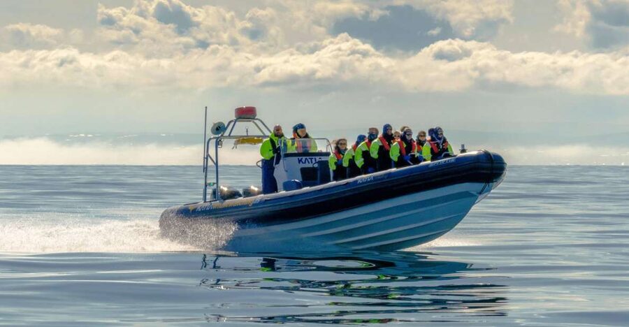 Reykjavík: RIB Speed-Boat Puffin Watching Tour - Why a RIB approach gives you better puffin time