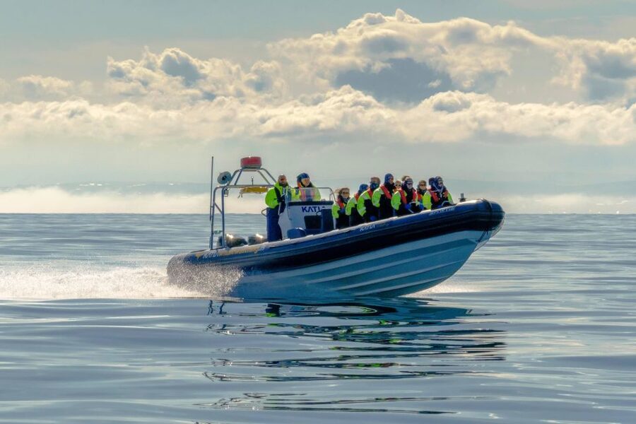 Reykjavík: RIB Speed-Boat Puffin Watching Tour - Comfort and restrictions: who should book, and who should skip