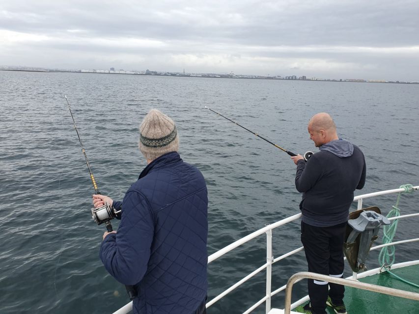 Reykjavik's Finest Catch: Guided Sea Angling Tour - From Hlésgata 1 to Faxaflói Bay: the easy start