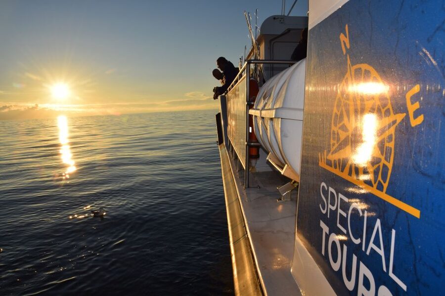 Reykjavik: Sea Fishing Boat Tour & BBQ with the Day's Catch - Reykjavik Old Harbor to Faxaflói Bay: What This Tour Is Really About