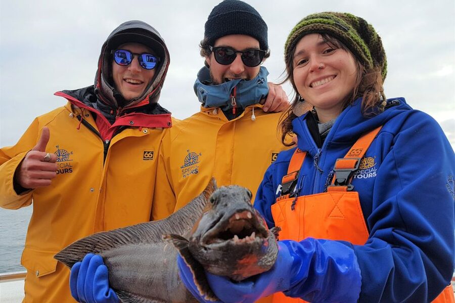Reykjavik: Sea Fishing Boat Tour & BBQ with the Day's Catch - Should You Book This Tour, or Pick a Different Iceland Day?