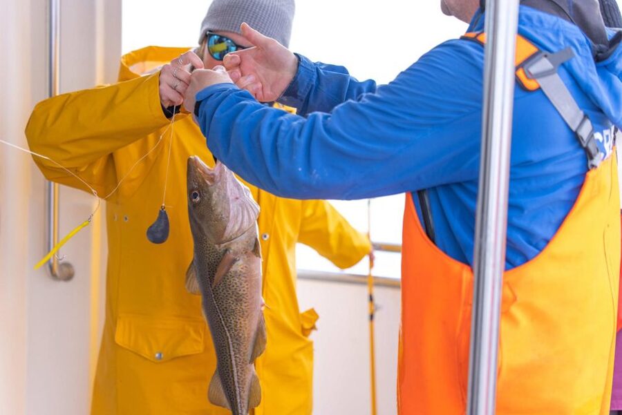 Reykjavik: Sea Fishing Boat Tour & BBQ with the Day's Catch - Onboard BBQ with Potatoes: The Meal Is Part of the Attraction