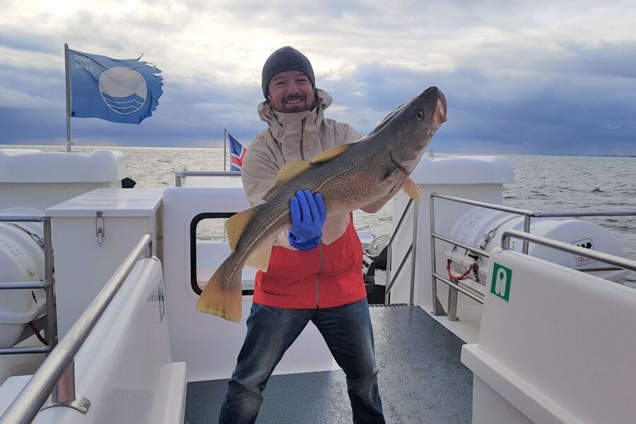 Reykjavik: Sea Fishing Boat Tour & BBQ with the Day's Catch - Gear, Safety, and What the Crew Actually Does for You