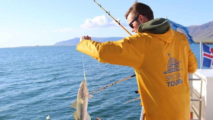 Reykjavik: Sea Fishing Boat Tour & BBQ with the Day's Catch - Timing, Pickup, and How to Avoid Stress Before You Cast