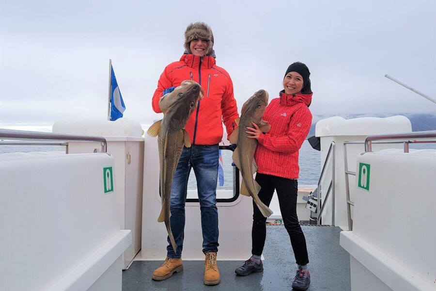 Reykjavik: Sea Fishing Boat Tour & BBQ with the Day's Catch - Price and Value at $141 Per Person: Is It Worth It?