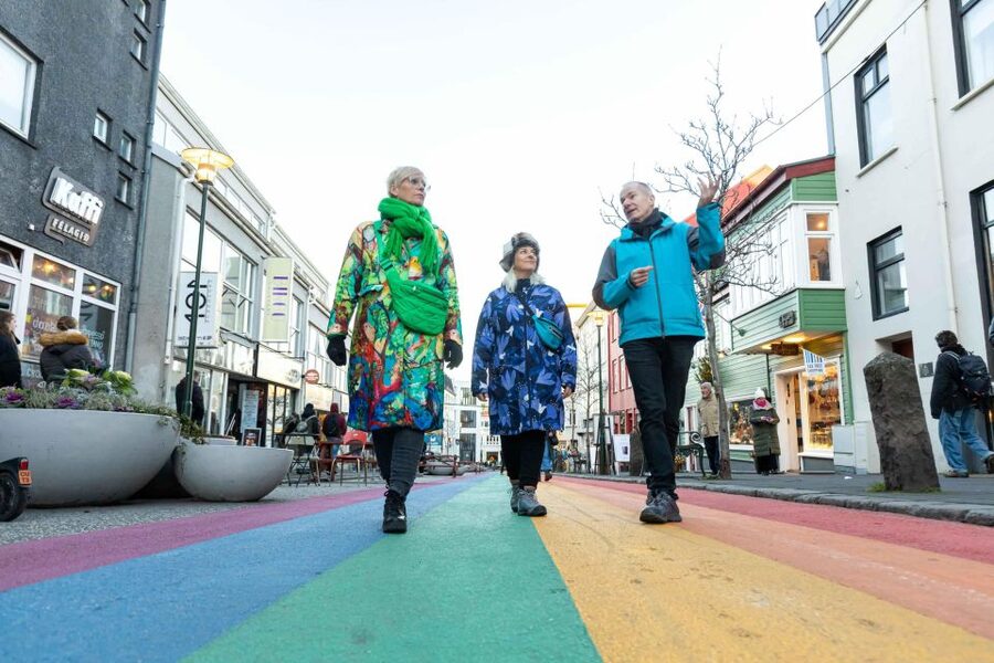Reykjavik: Sightseeing Walking Tour with a Viking - Harpa Concert Hall and the old city core, built for photos and context