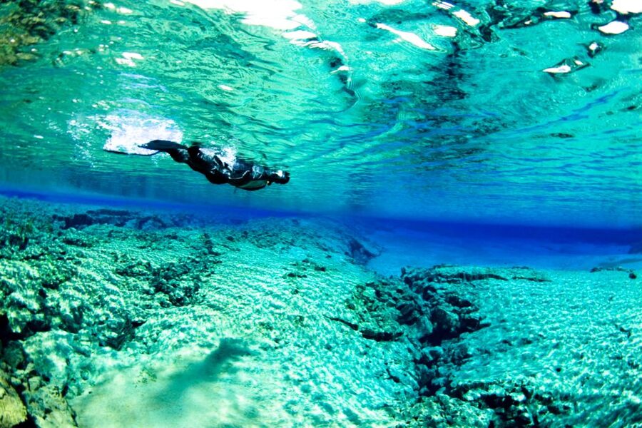 Reykjavík: Silfra Fissure Snorkeling and Lava Caving Tour - What to Bring, What Not to Bring, and Who Should Skip This Tour