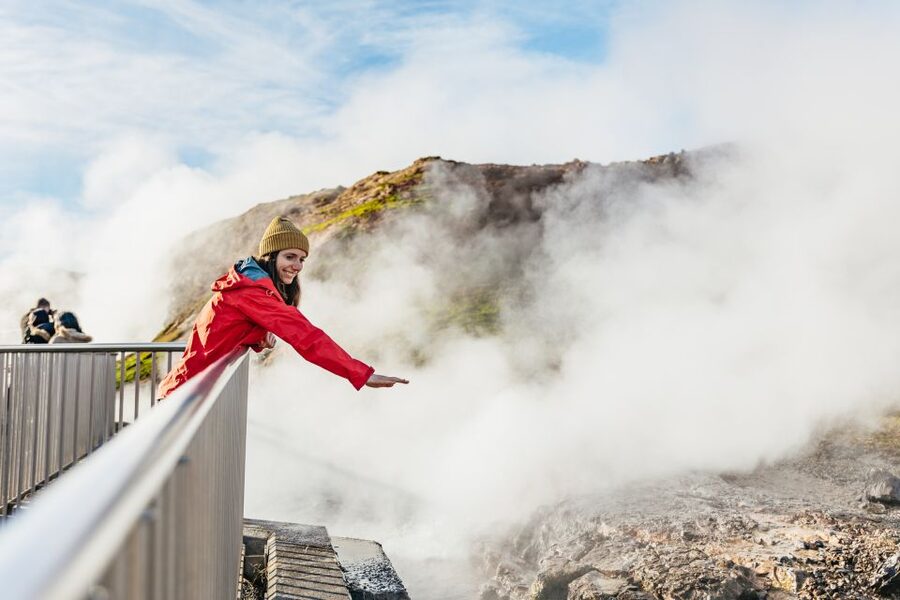 Reykjavik: Silver Circle Tour, Canyon Ride, & Thermal Baths - Sturlureykir Icelandic horse farm and rugbrauð: a warm break with real character
