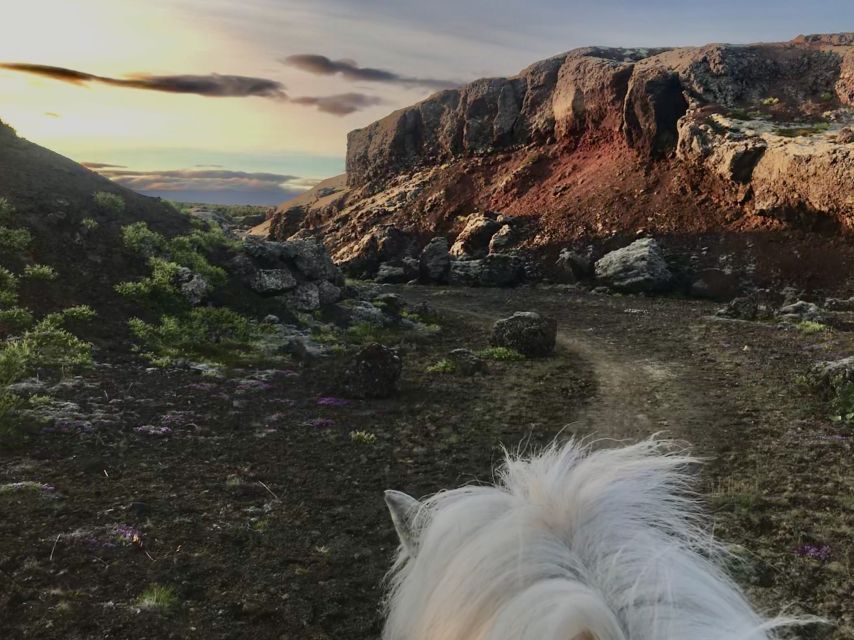 Reykjavik: Small-Group Horse Volcano Riding Tour with Pickup - Why a 3-hour horse ride near Reykjavik feels like real Iceland