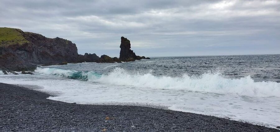 Reykjavik: Small-Group Snæfellsnes Day Trip - Ytri Tunga seals and a beach with real personality