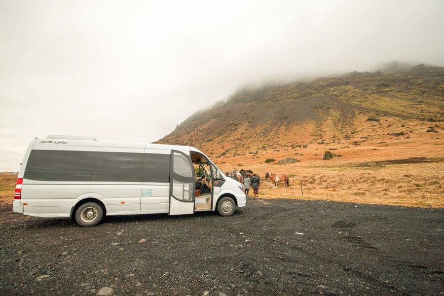 Reykjavik: Snaefellsnes & Mt. Kirkjufell Guided Minibus Tour - Ólafsvík Break: Food, Warmth, and a Moment to Breathe