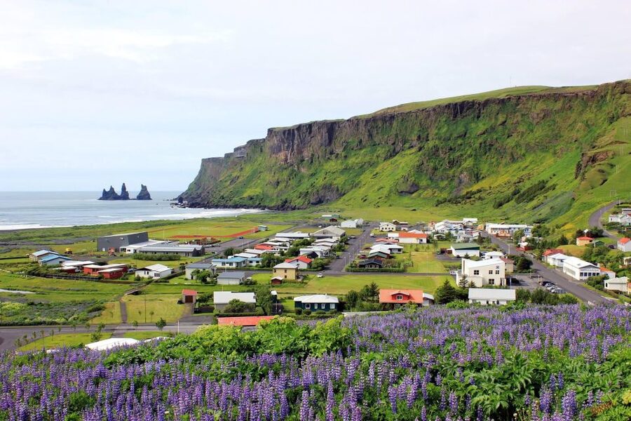 Reykjavik: South Coast and Katla Ice Cave Small Group Tour - Vikurfjara black sand beach near Vik: gorgeous, windy, and real