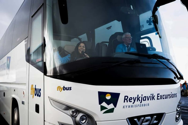 Reykjavik: The Golden Circle Day Tour - Price and Value: What $79 Buys You in Real Life