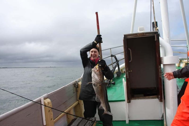 Reykjavik: Traditional Sea Fishing with BBQ Feast - Price and Value: Is $170 Worth It?