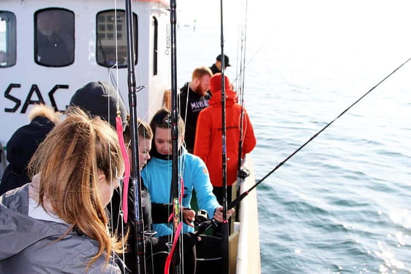 Reykjavik: Traditional Sea Fishing with BBQ Feast - Where You Meet the Boat in Reykjavik’s Old Harbor